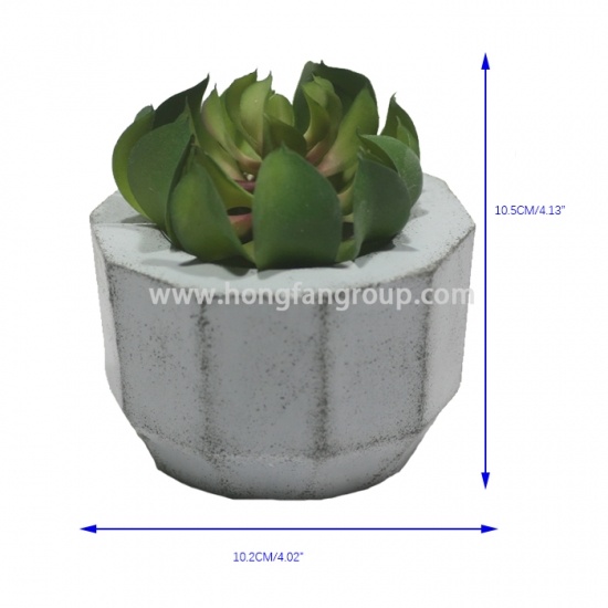 Mini Succulent in Pot